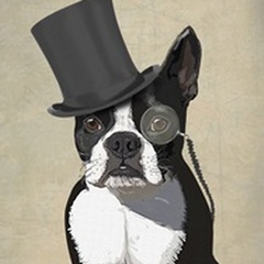 Boston Terrier, Formal Hound and Hat