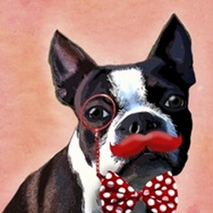 Boston Terrier Portrait with Red Bow Tie and Moustache