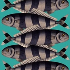 Blue Striped Fish