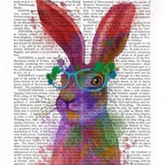 Rainbow Splash Rabbit 2, Portrait