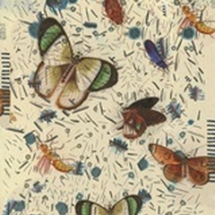 Confetti with Butterflies III