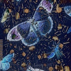 Confetti with Butterflies I