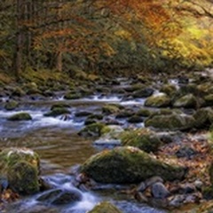 Autumn on Little River