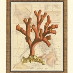 Exotic Map with Coral I