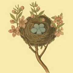 Antique Bird's Nest I
