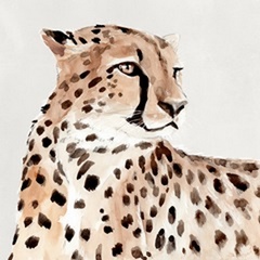 Saharan Cheetah I