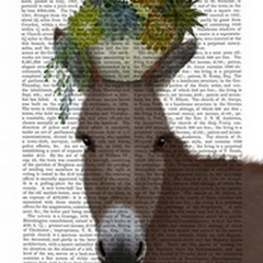 Donkey Succulent Book Print