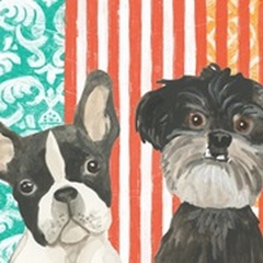 Parlor Pooch Collection A