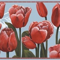 Ruby Tulips Collection A