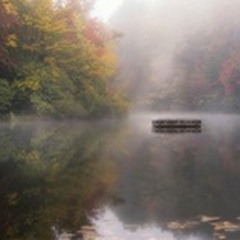 Mist on the Lake