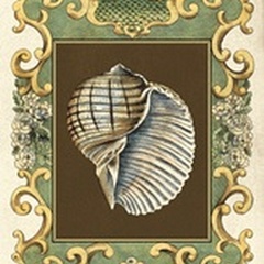 Small Mermaid's Shells I