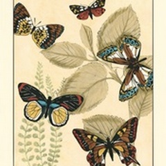 Small Graphic Butterflies I