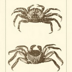 Sepia Crabs II