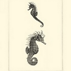 Sepia Seahorse