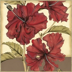 Cropped Sophisticated Hibiscus I