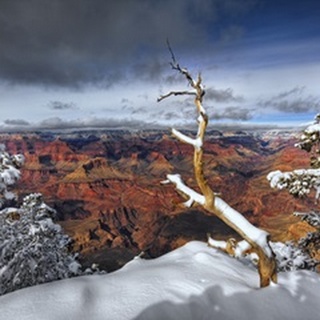 Snowy Grand Canyon III