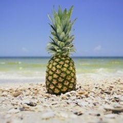 South Florida Pineapple II