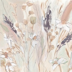 Lavender Flower Field II