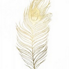 Gold Foil Peacock Feather II