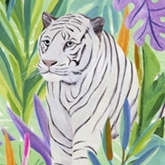 Tropic Tiger I