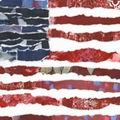 Patriotic Collage Flag II