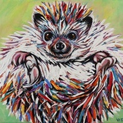 Colorful Hedgehog II