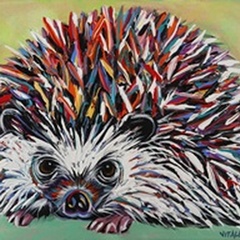 Colorful Hedgehog I