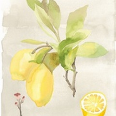 Watercolor Fruit II