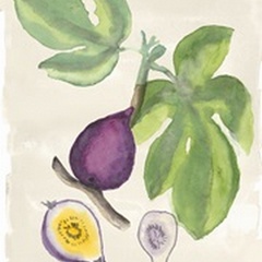 Watercolor Fruit I