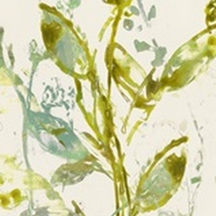 Watercolor Leaves I