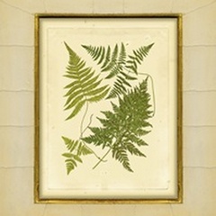 Fern with Crackle Mat I