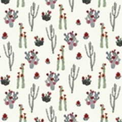 Flowering Christmas Cactus Collection E