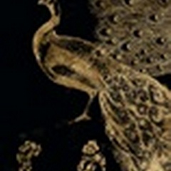 Gilded Peacock Triptych I