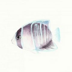 Watercolor Tropical Fish III