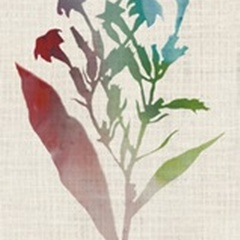 Watercolor Plants II