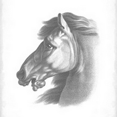 Equestrian Blueprint III