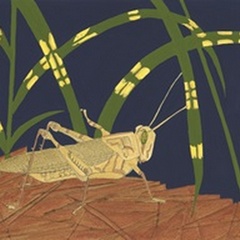 Ornamental Grasshopper I