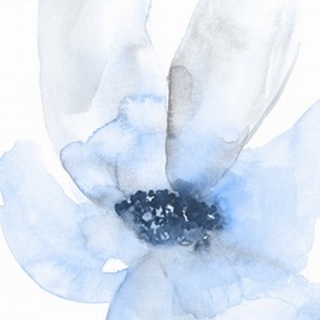 Cobalt Flower I