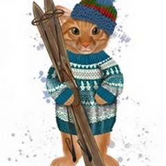 Ginger Ski Cat