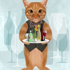 Ginger Cat Cocktails