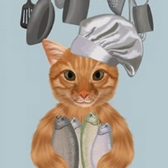 Ginger Cat Fish Chef, Portrait