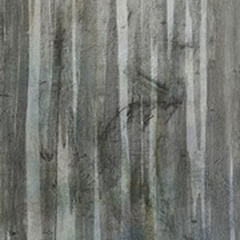Birch Forest Abstracts I