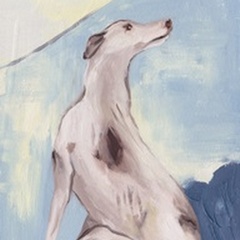 Blue Greyhound I