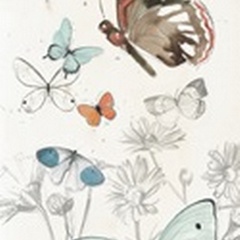 Summer Butterflies Collection B