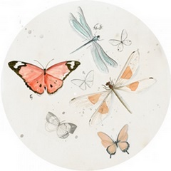 Summer Butterflies Collection C