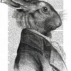 Rabbit Portrait Profile