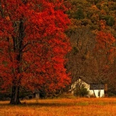 Farm House on a Autumn Morn'