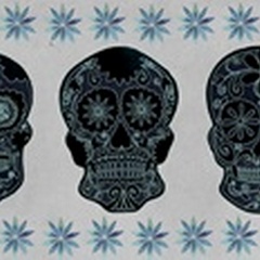 Day of the Dead Collection C