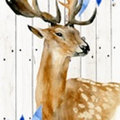 Dear Deer Collection B