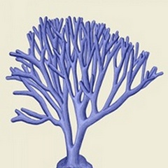 Blue Corals c